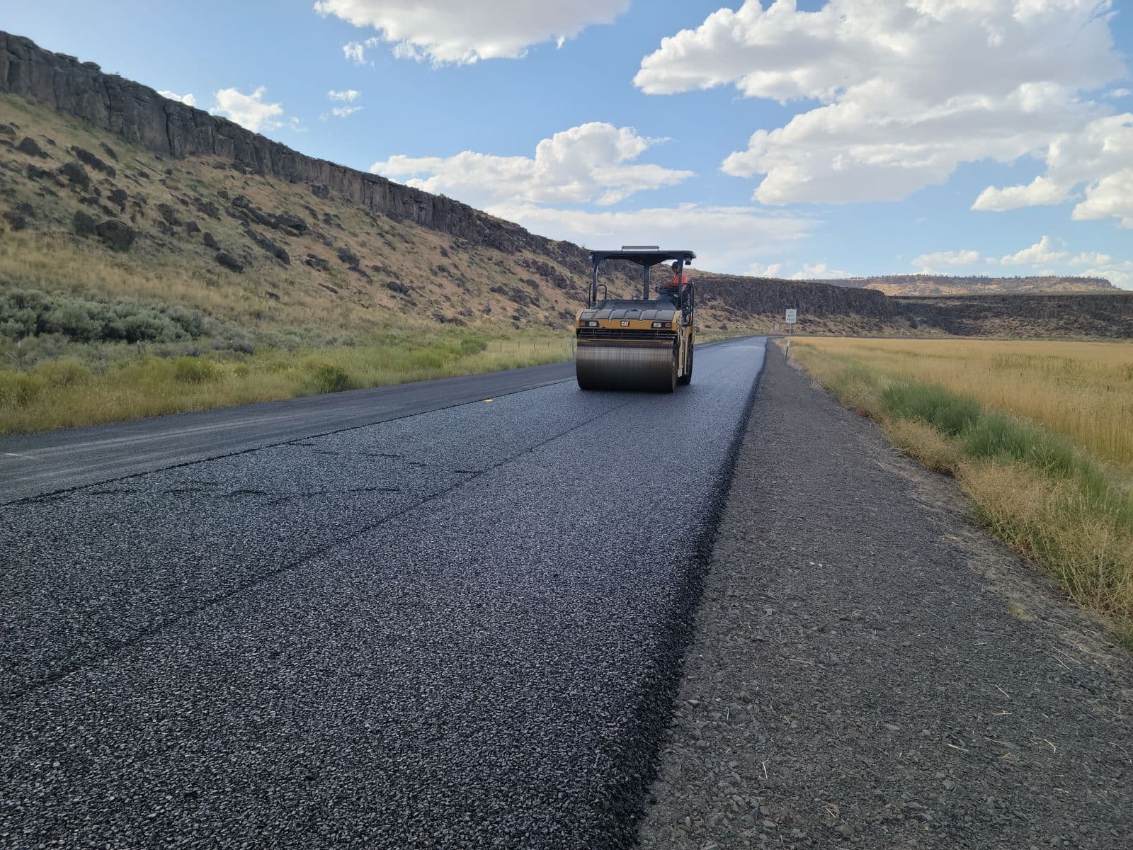 Freshly paved asphalt driveway leading to a suburban home